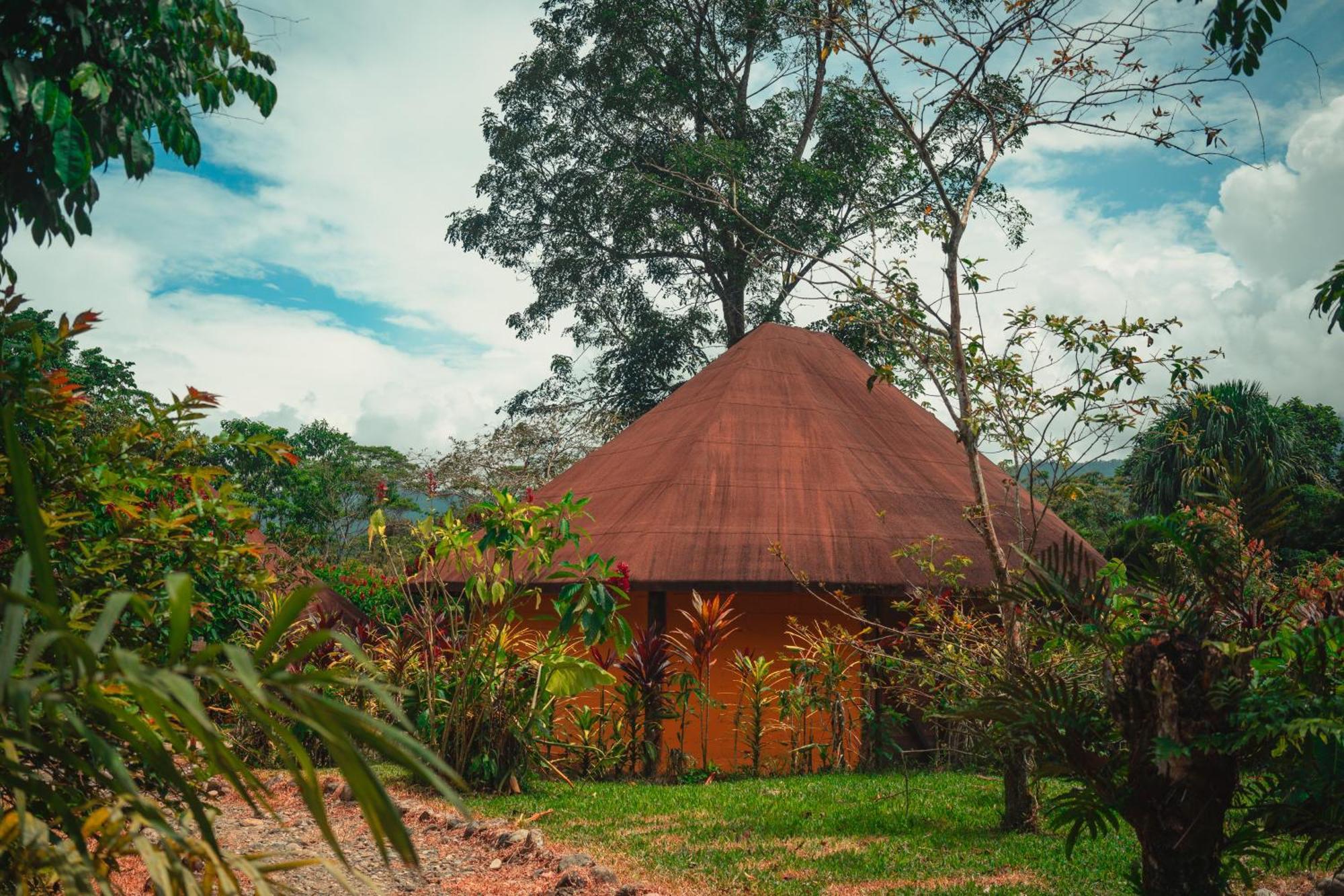 Huasquila Amazon Lodge Cotundo 外观 照片